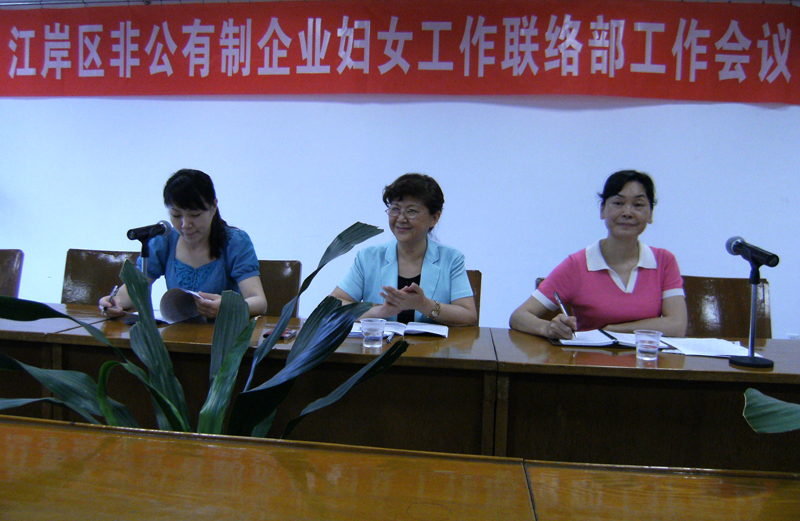 湖北东信医药有限公司参加江岸区非公企业妇女工作联络部工作会议