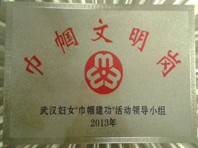 湖北东信医药有限公司荣获2013年度武汉市巾帼文明岗单位