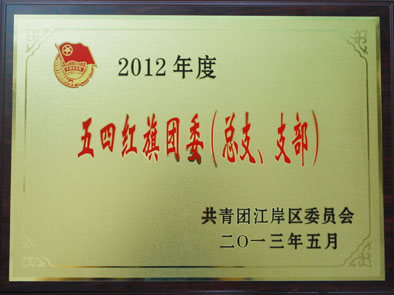 湖北东信医药有限公司团支部荣获2012年度“五四红旗团委”