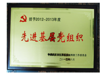 湖北东信医药有限公司党支部荣获先进基层党组织荣誉称号