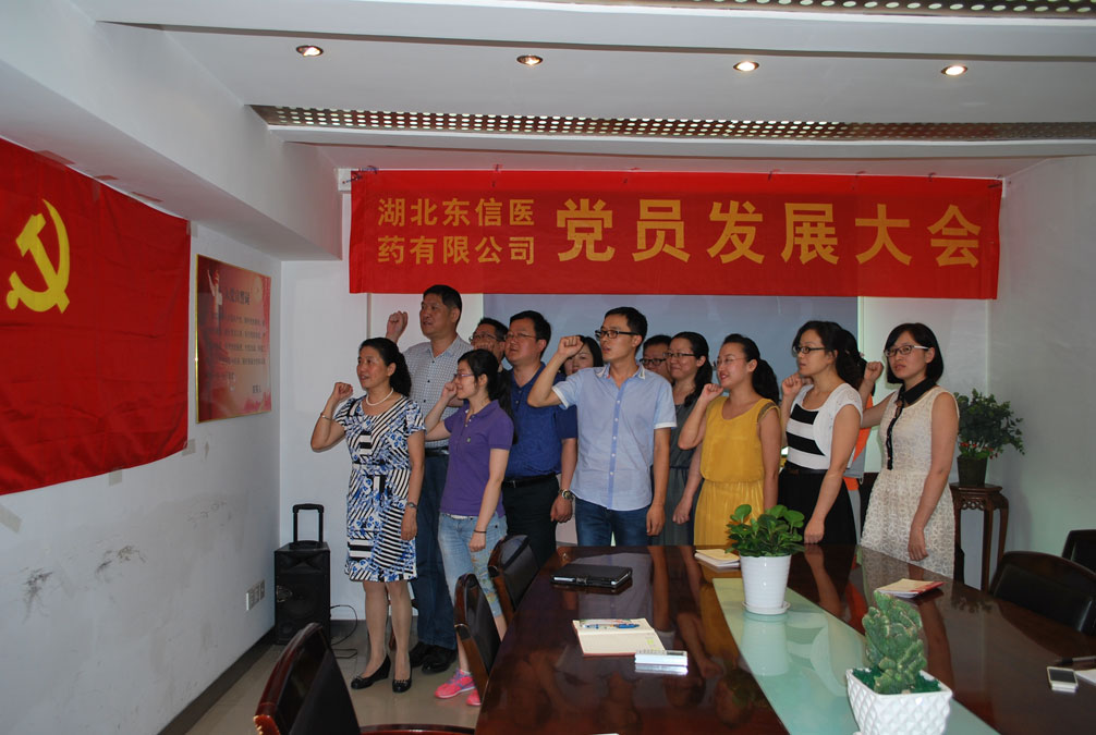 湖北东信医药有限公司党支部召开发展新党员和党员转正大会