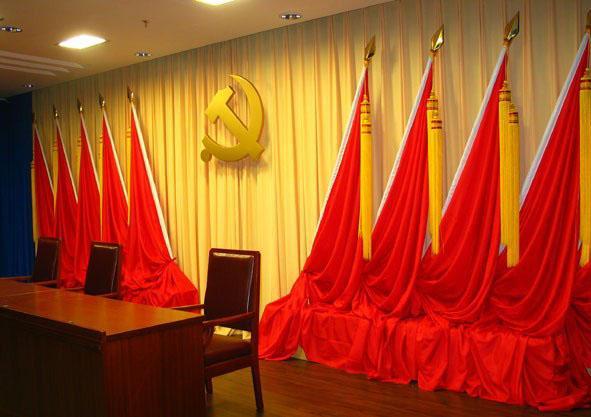东信医药党支部书记当选江岸区第十一次党代表大会代表