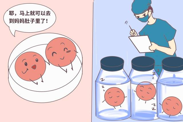 哪些胚胎可用于移植？了解下！