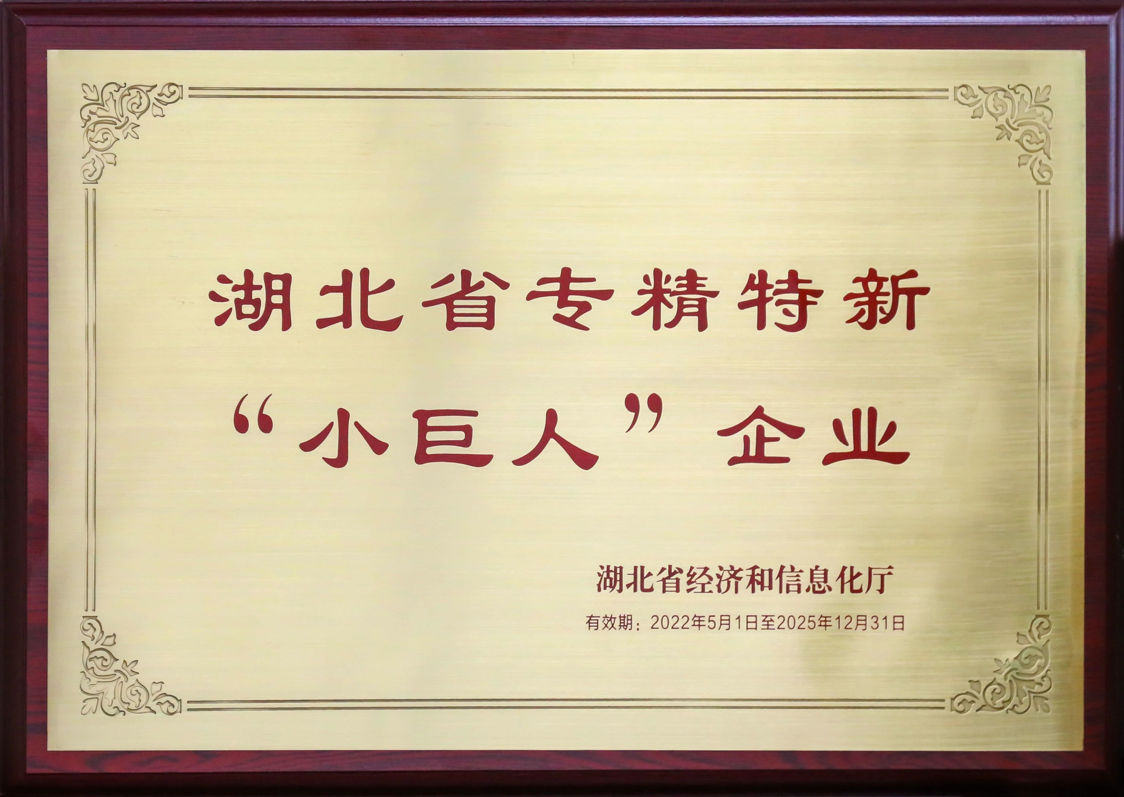 盘点新疆26省联盟集采，湖北东信拟中选（妇科）品种数量名列榜首