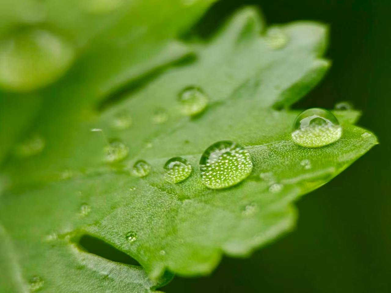 梅雨季，别让疾病“趁虚而入”